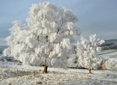 ​梦见下雪是什么意思，女人梦见下雪雪花飘飘